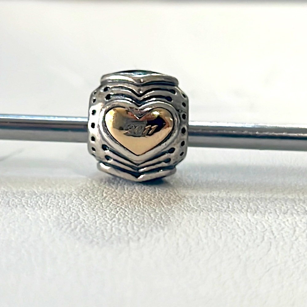 Retired Pandora 2011 Black Friday Charm